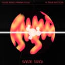 SAME MAN (feat. True Motion)