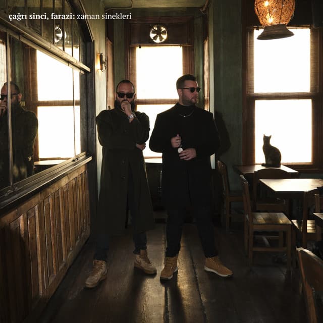 Sağlam (feat. Şam) artwork