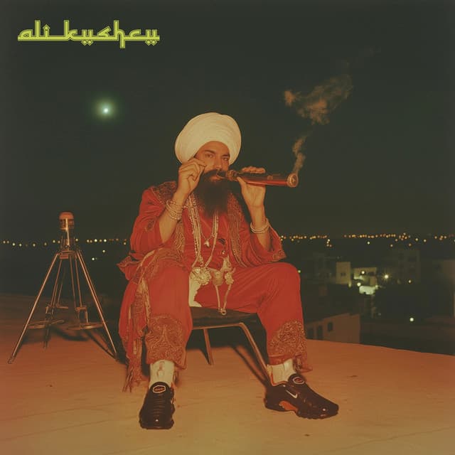 ALI KUSHCU artwork