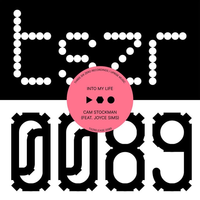 Into My Life (feat. Joyce Sims) artwork